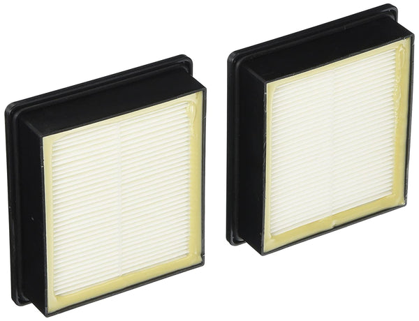 Proteam Vacuum Filter